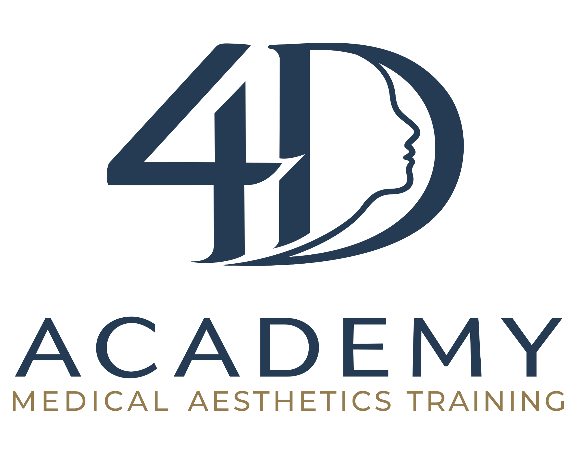 4D Academy